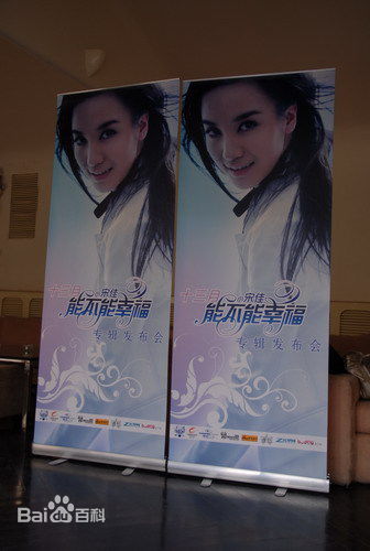 宋佳(Song Jia)2008年个人专辑能不能幸福发布会现场素颜照相册