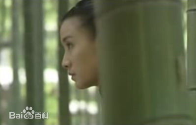 最新宋佳(Song Jia)在2007年《中国往事》饰郑玉楠来自贴吧中的图集