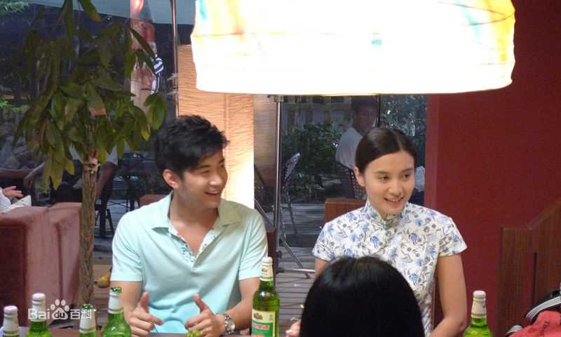 最新宋佳(Song Jia)在2009年《大女当嫁》饰演姜大雁中的图集