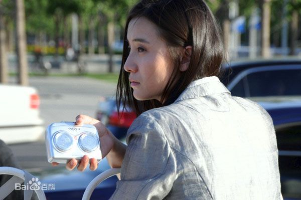 最新宋佳(Song Jia)在2009年《大女当嫁》饰演姜大雁中的图集