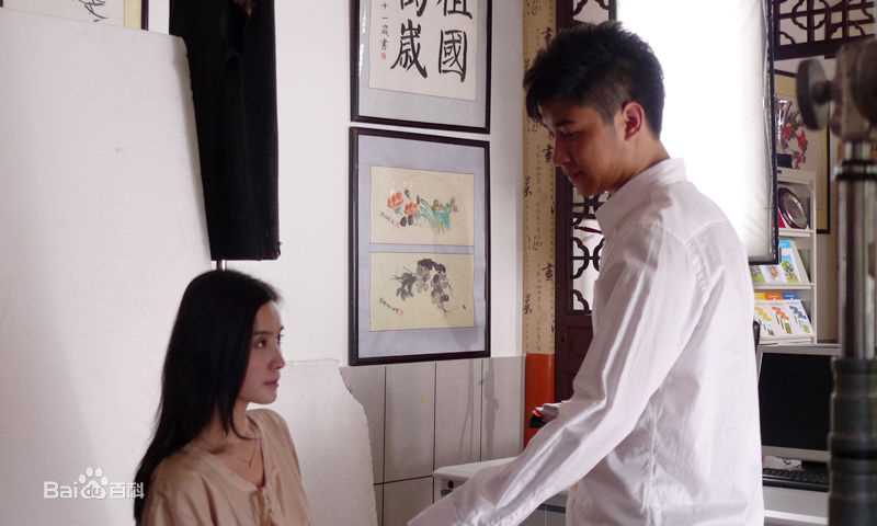 最新宋佳(Song Jia)在2009年《大女当嫁》饰演姜大雁中的图集