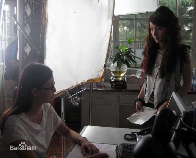 最新宋佳(Song Jia)在2009年《大女当嫁》饰演姜大雁中的图集