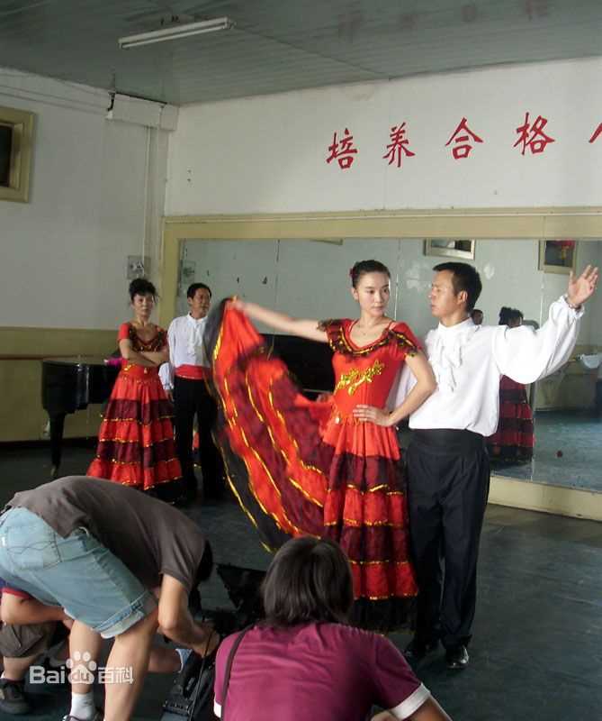 最新宋佳(Song Jia)在2009年《大女当嫁》饰演姜大雁中的图集