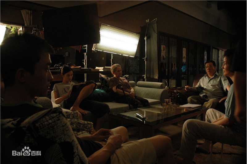 最新宋佳(Song Jia)在2009年《大女当嫁》饰演姜大雁中的图集