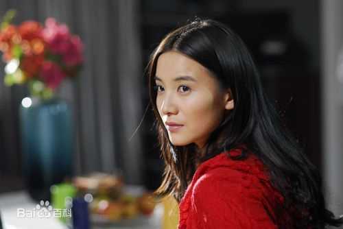 精选宋佳(Song Jia)在2009年《跟我的前妻谈恋爱》饰演俞晓红中的图册