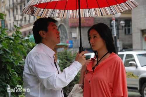 精选宋佳(Song Jia)在2009年《跟我的前妻谈恋爱》饰演俞晓红中的图册