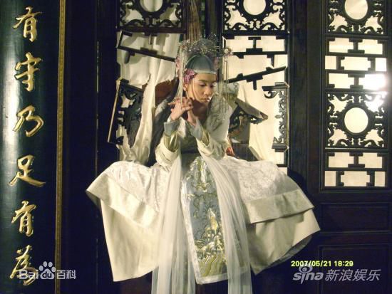 高清宋佳(Song Jia)在2009年《大内密探灵灵狗》饰演彩云公主中的图集