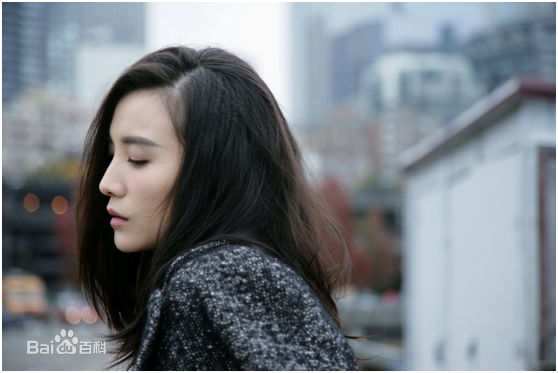 最新宋佳(Song Jia)壁纸