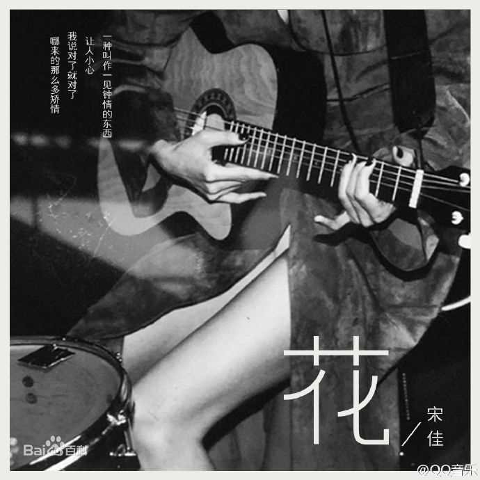 最新宋佳(Song Jia)壁纸