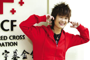 李宇春(Chris Lee)玉米爱心基金官方LOGO及最优质海报相册