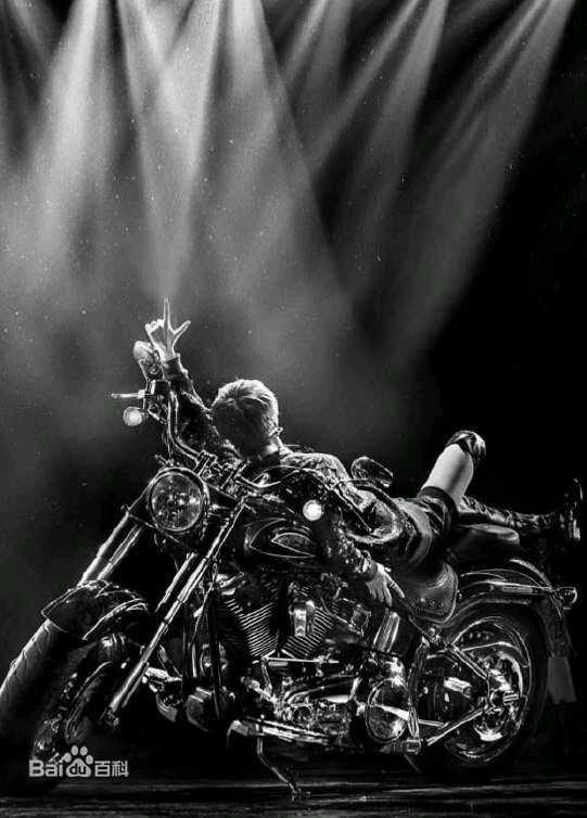 李宇春(Chris Lee)个人演唱会图册