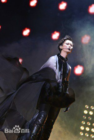 李宇春(Chris Lee)个人演唱会图册