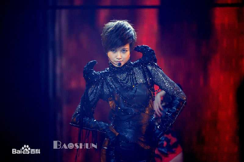 李宇春(Chris Lee)个人演唱会图册