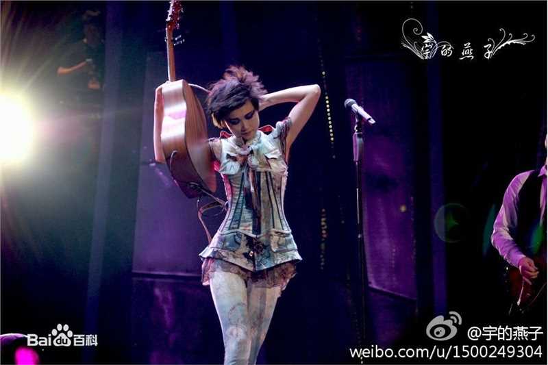 李宇春(Chris Lee)个人演唱会图册