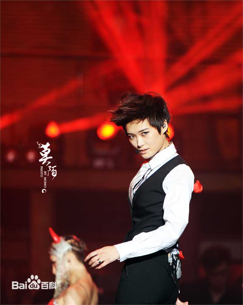 李宇春(Chris Lee)个人演唱会图册