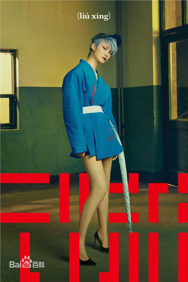 李宇春(Chris Lee)年度专辑作品图片图集