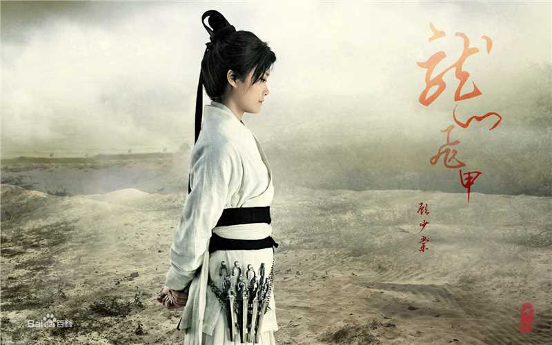 精选李宇春(Chris Lee)在《龙门飞甲》中的图册