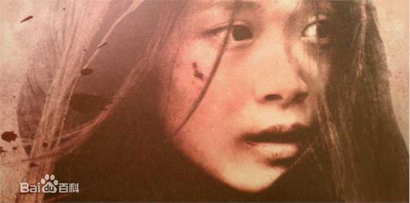 最新李宇春(Chris Lee)在《血滴子》中的壁纸