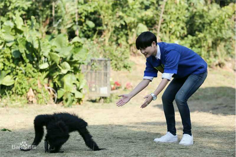 最优质李宇春(Chris Lee)在加盟2015《奇妙的朋友》中的相册