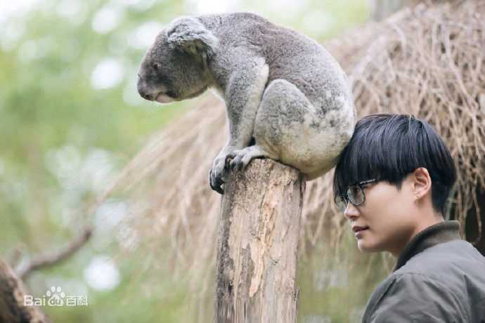 最优质李宇春(Chris Lee)在加盟2015《奇妙的朋友》中的相册