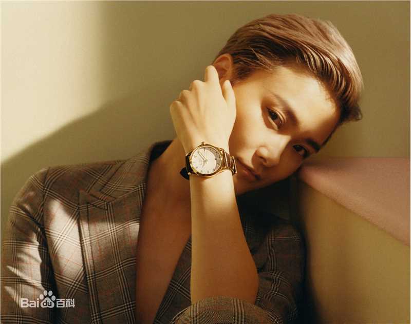 李宇春(Chris Lee)GUCCI腕表首饰形象大使图册