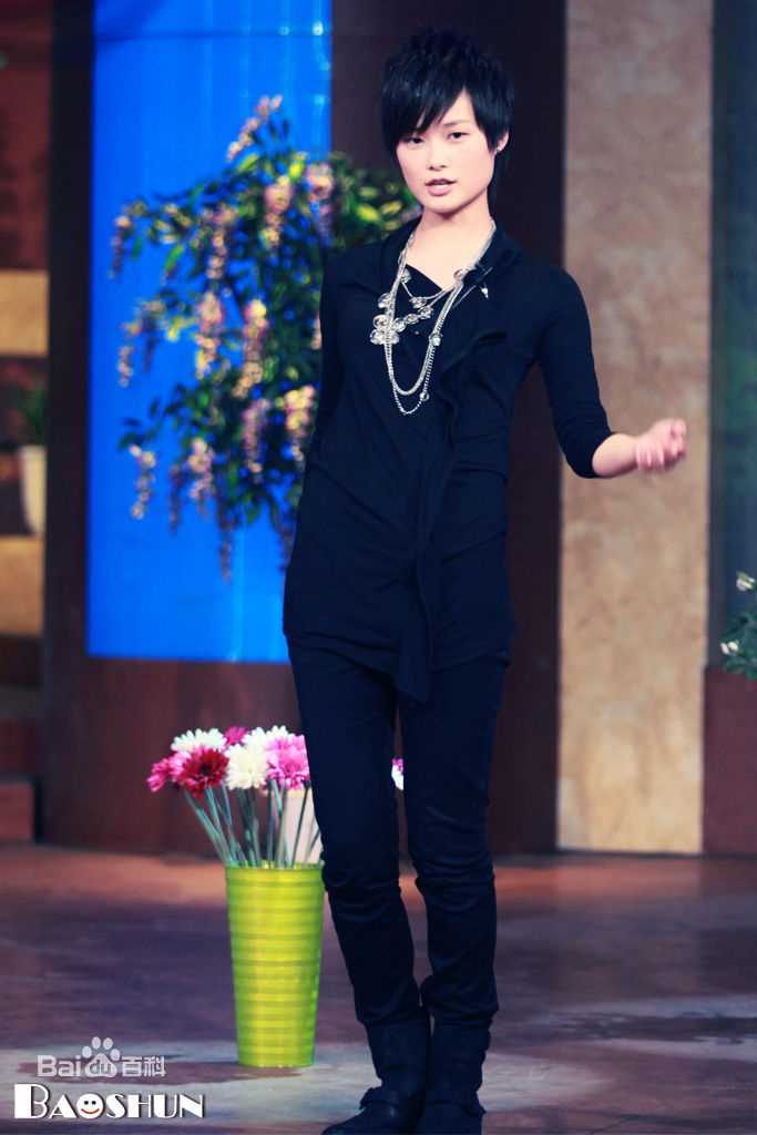 李宇春(Chris Lee)历年电视访谈壁纸壁纸