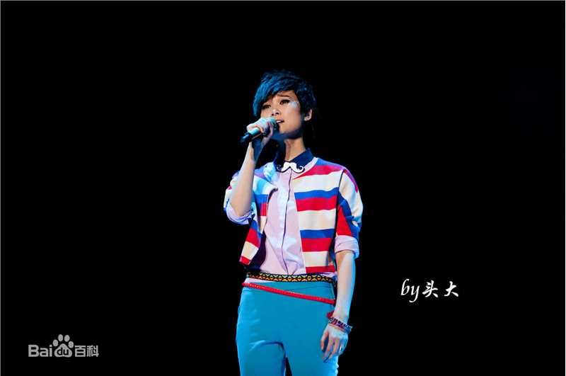 李宇春(Chris Lee)2012年WHYME深圳演唱会性感图片图集