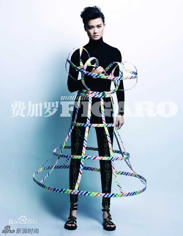 李宇春(Chris Lee)高清登《费加罗》2013开年封面图集