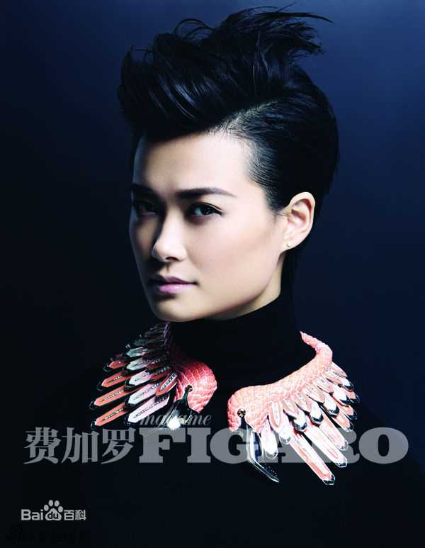 李宇春(Chris Lee)高清登《费加罗》2013开年封面图集