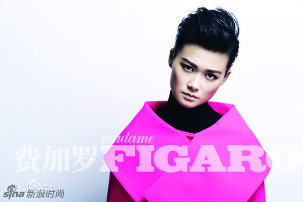 李宇春(Chris Lee)高清登《费加罗》2013开年封面图集