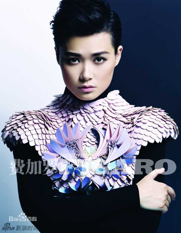 李宇春(Chris Lee)高清登《费加罗》2013开年封面图集