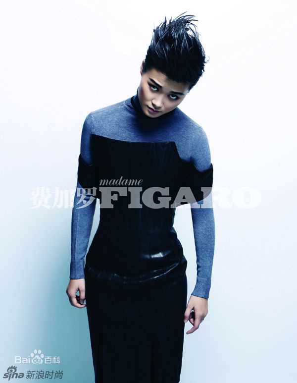 李宇春(Chris Lee)高清登《费加罗》2013开年封面图集