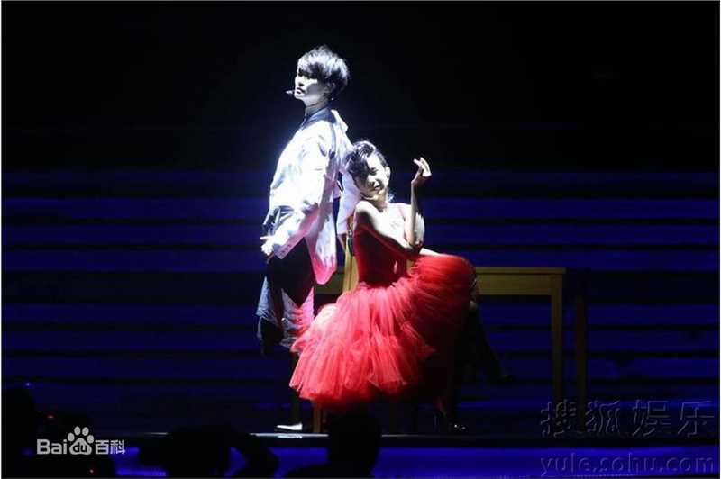 李宇春(Chris Lee)中歌榜流行音乐典礼壁纸壁纸