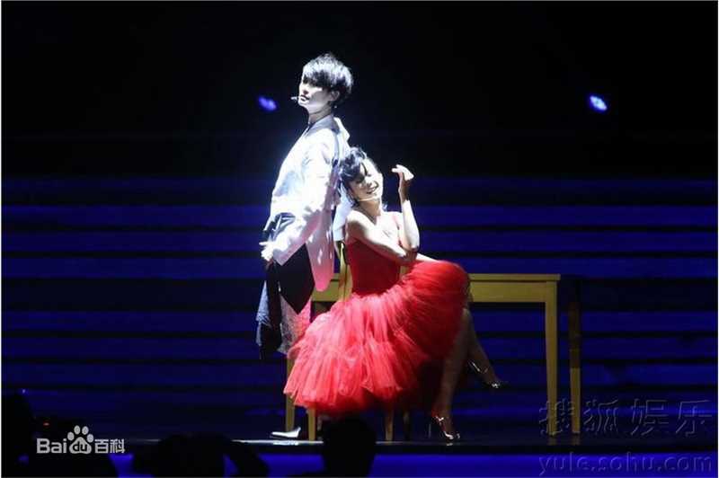 李宇春(Chris Lee)中歌榜流行音乐典礼壁纸壁纸