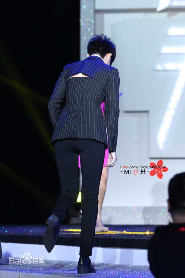 李宇春(Chris Lee)在《精品购物指南》2013时尚盛典中的