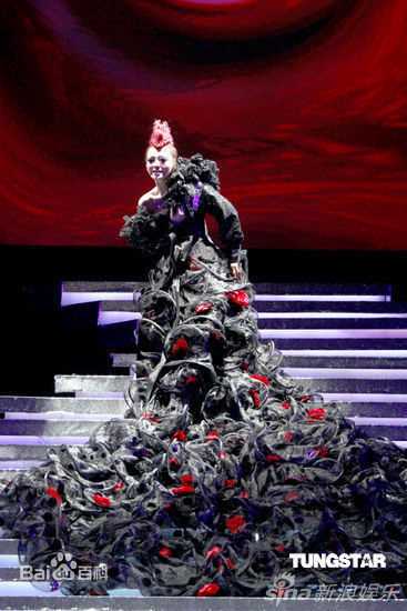 张韶涵(Angela Chang、Angela Zhang)演唱会图册