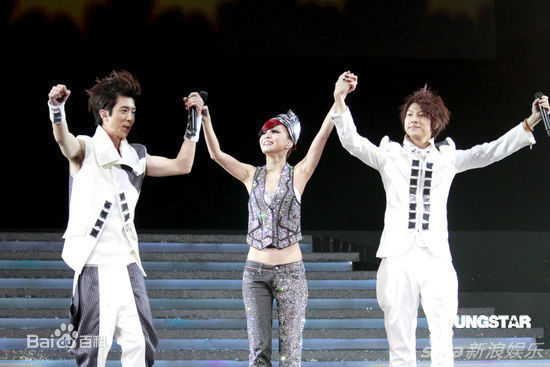 张韶涵(Angela Chang、Angela Zhang)演唱会图册