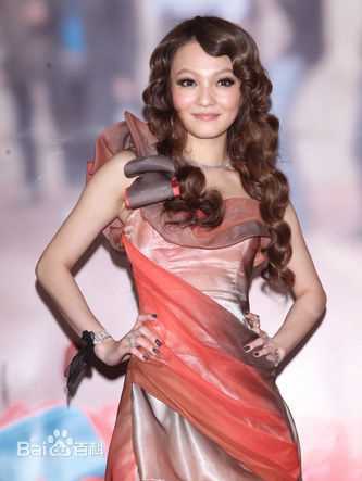 张韶涵(Angela Chang、Angela Zhang)2011年1月19日生日当天举办新书记者会壁纸壁纸