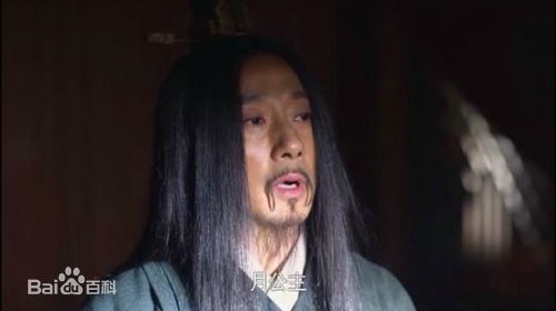 最优质赵立新(lixinzhao)在《芈月传》张仪中的相册