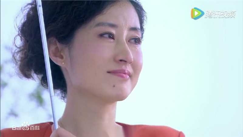 刘敏涛的高清剧照