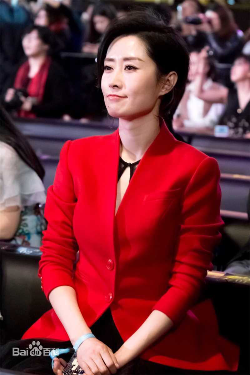 刘敏涛综艺前后照片