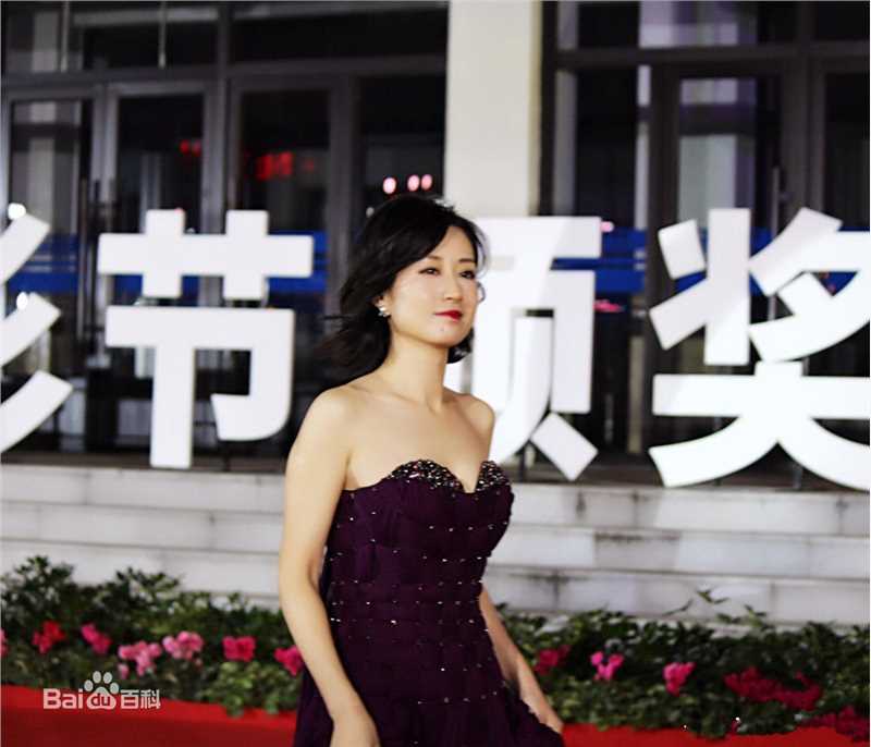 刘敏涛综艺前后照片