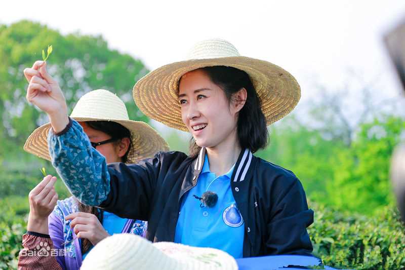 刘敏涛综艺前后照片