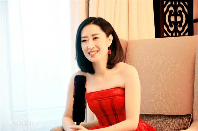 刘敏涛综艺前后照片