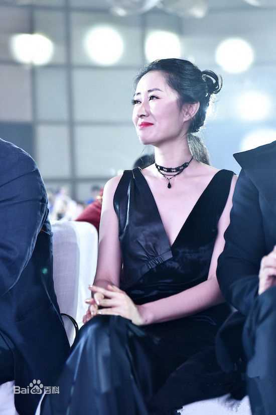 刘敏涛综艺前后照片