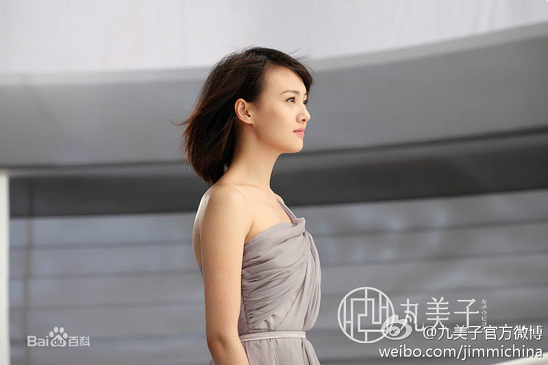 郑爽(Zheng Shuang)广告代言图册