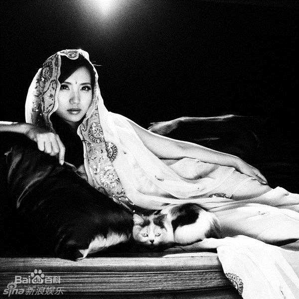 高清陈好(Chen Hao)精彩图册