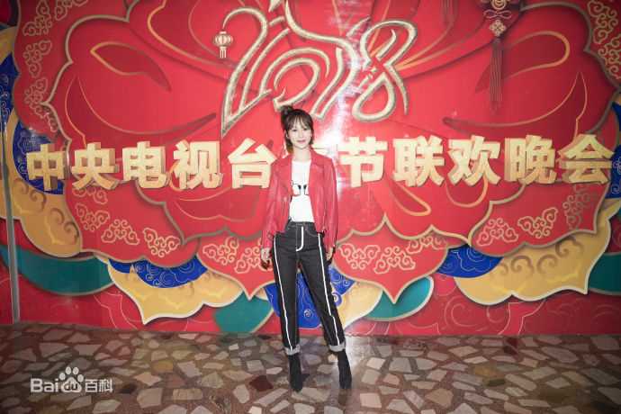 杨紫(Andy)2018年中央电视台春节联欢晚会壁纸壁纸