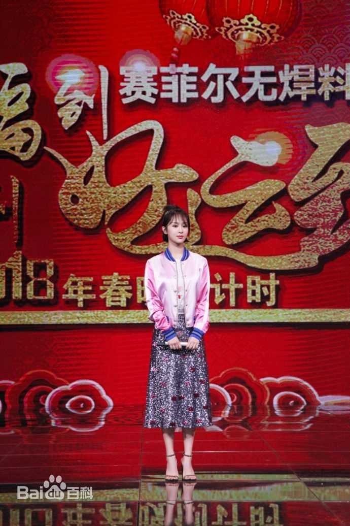 杨紫(Andy)2018年中央电视台春节联欢晚会壁纸壁纸
