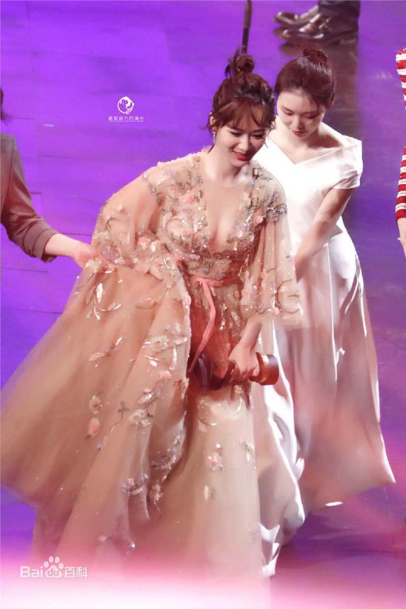 杨紫(Andy)2018微博之夜图片图册